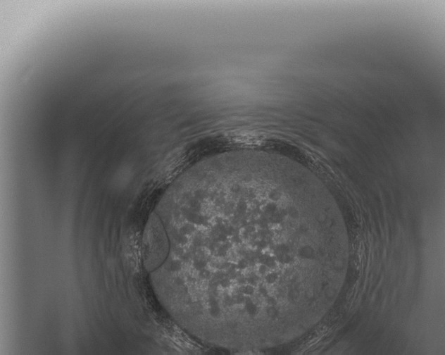 X0000060260707200511041349