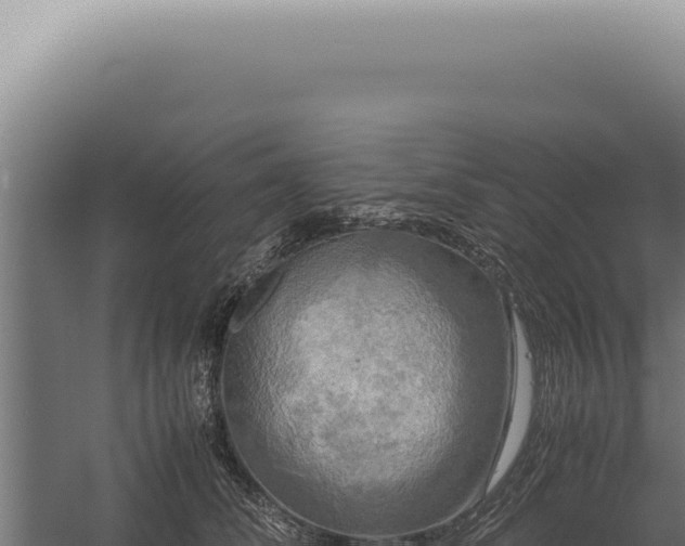 X0000060260708200511041349