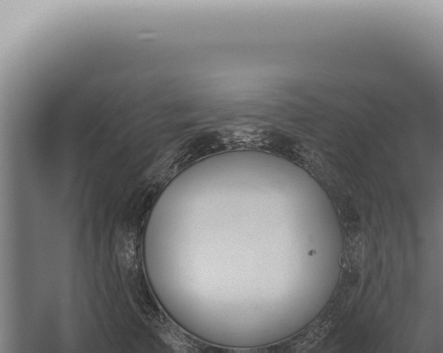 X0000060260709200511041349