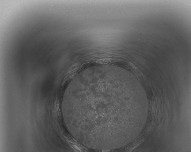 X0000060260711200511041349