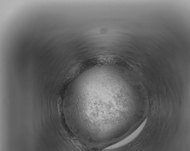 X0000060260712200511041349