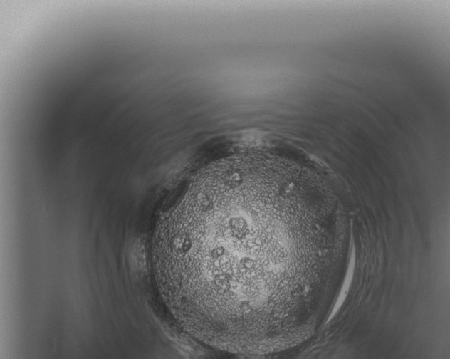 X0000060260715200511041349