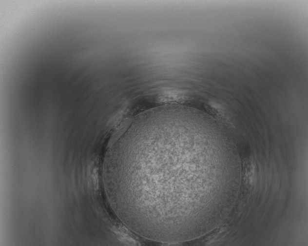 X0000060260716200511041349