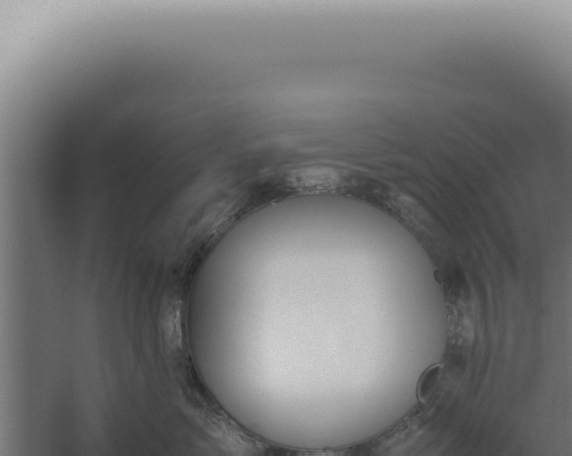 X0000060260717200511041349