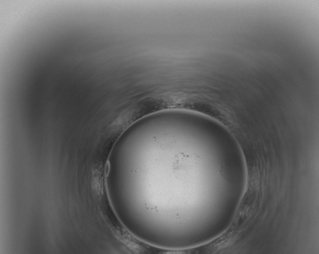 X0000060260719200511041349