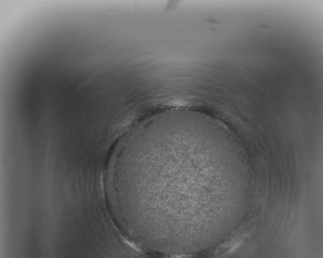 X0000060260720200511041349