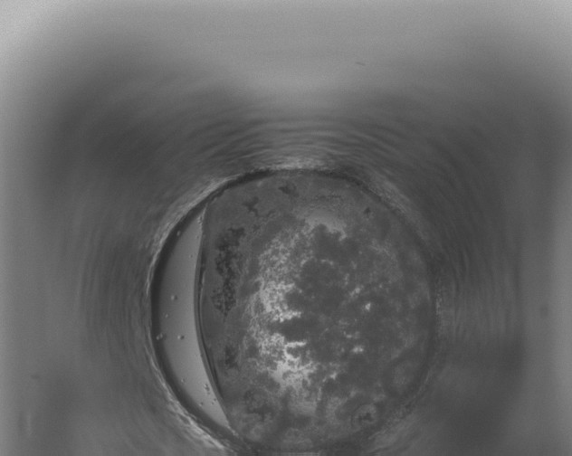 X0000060260721200511041348