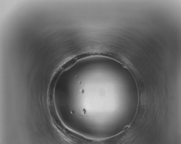 X0000060260722200511041348