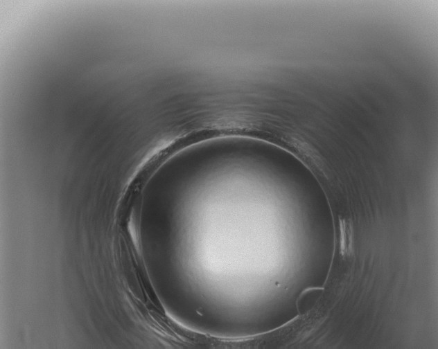 X0000060260723200511041348