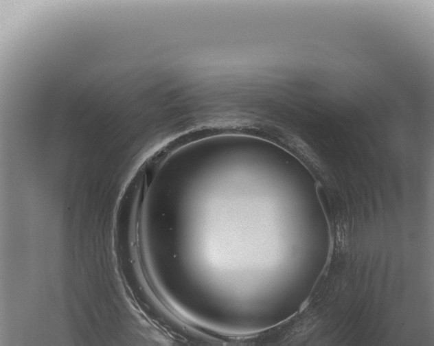 X0000060260724200511041348