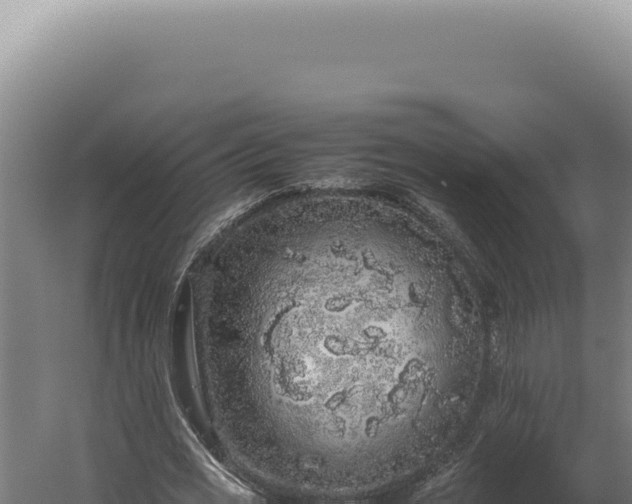 X0000060260725200511041348