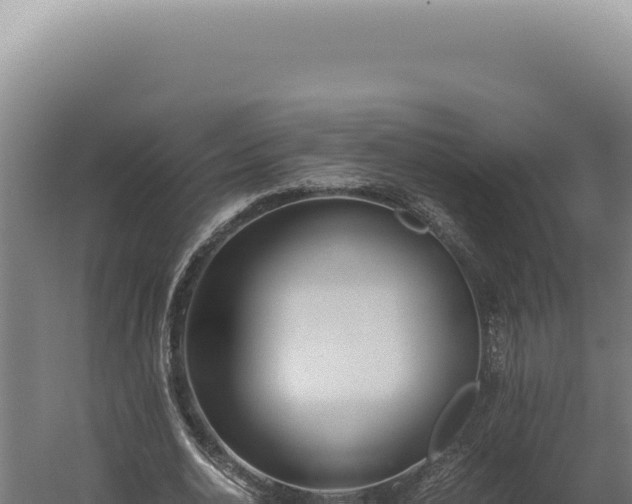 X0000060260726200511041348