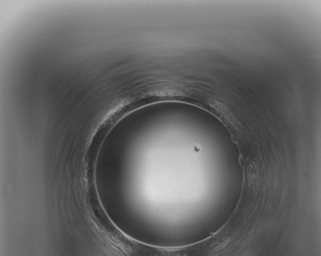 X0000060260727200511041348