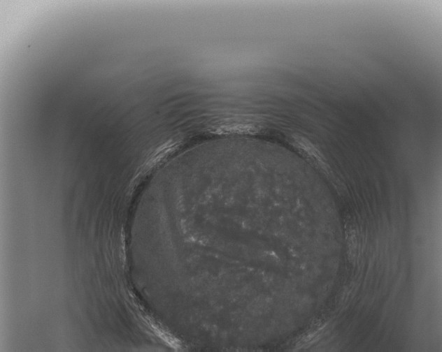 X0000060260729200511041348