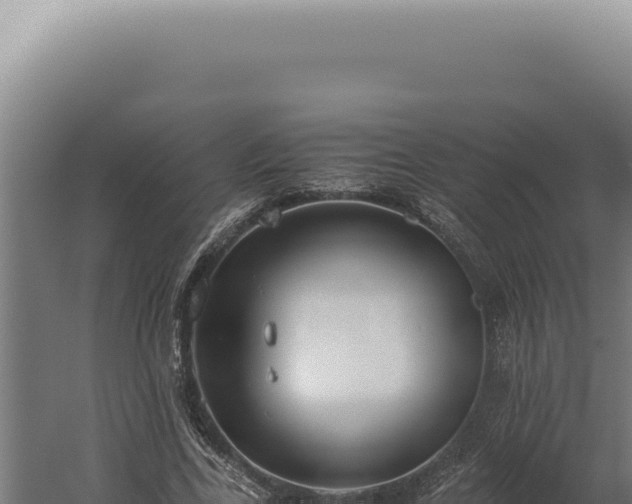 X0000060260731200511041348