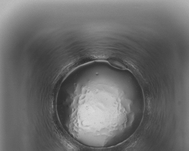 X0000060260733200511041348