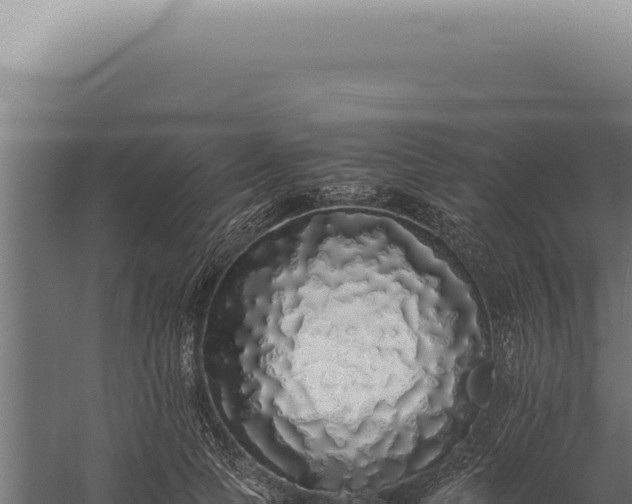 X0000060260745200511041349