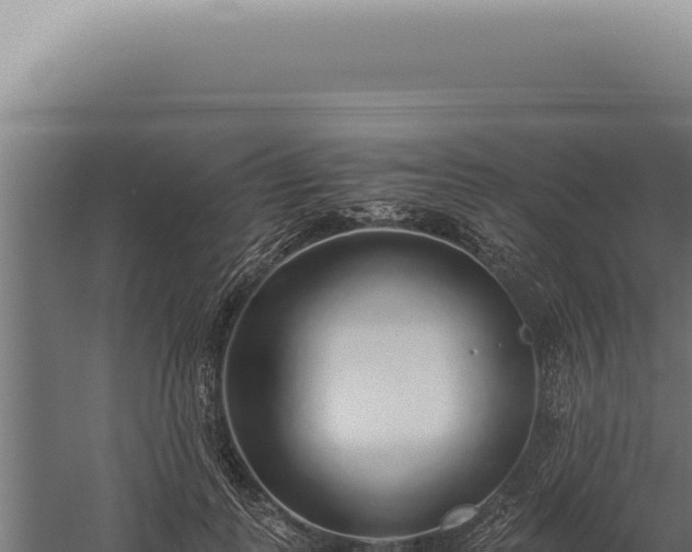 X0000060260747200511041349