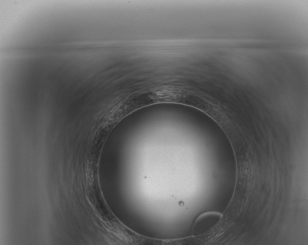 X0000060260751200511041349