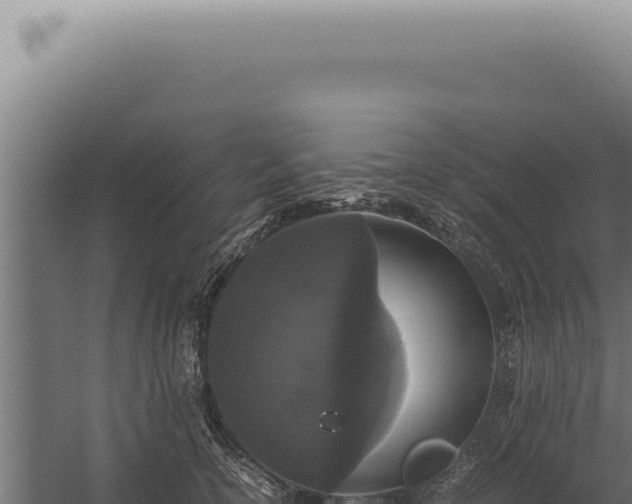 X0000060260754200511041349