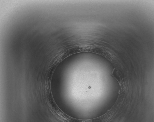 X0000060260756200511041349