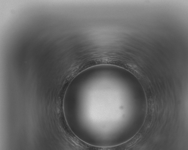 X0000060260760200511041349