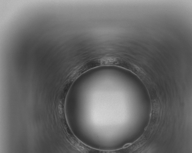 X0000060260761200511041349