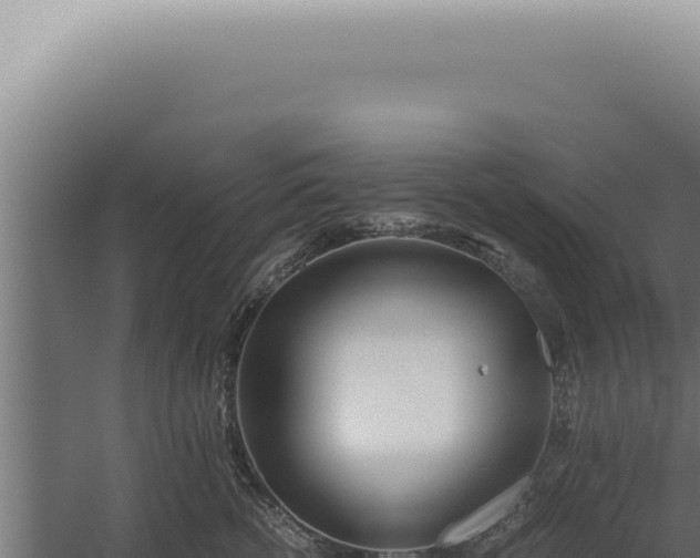 X0000060260762200511041349