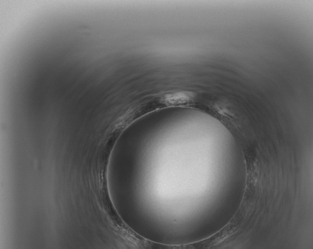 X0000060260763200511041349