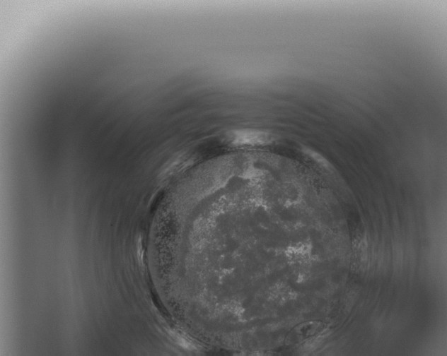 X0000060260765200511041349