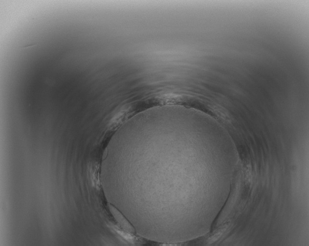 X0000060260766200511041349