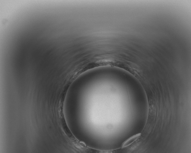 X0000060260767200511041349