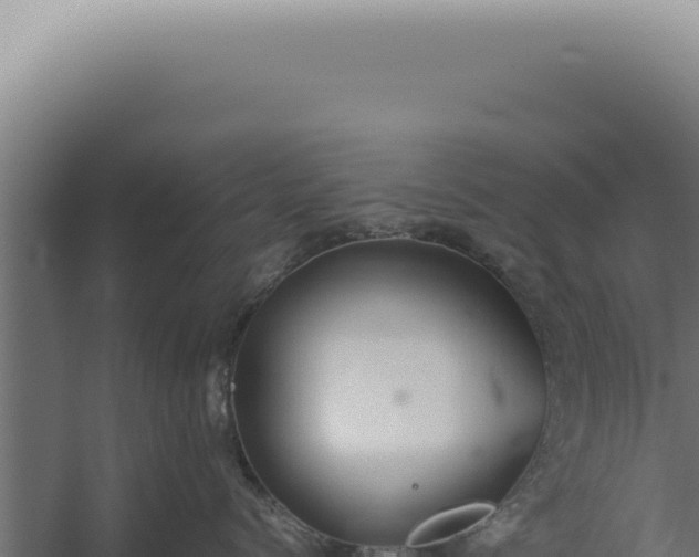 X0000060260768200511041349