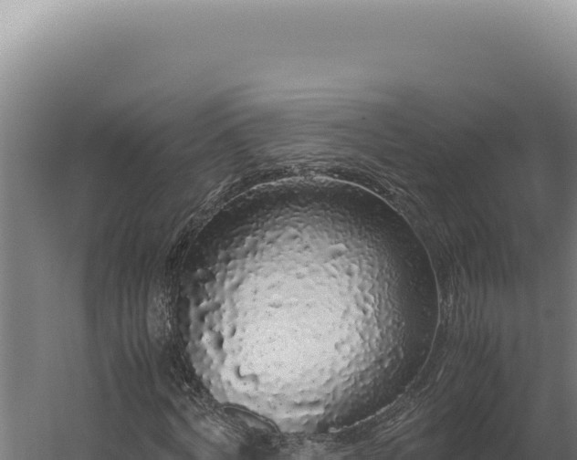 X0000060260772200511041348