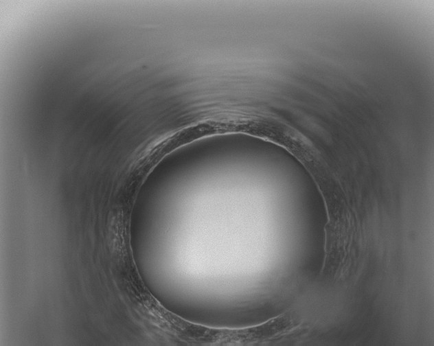 X0000060260773200511041348