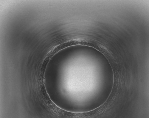 X0000060260776200511041348