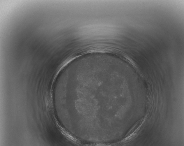 X0000060260779200511041348