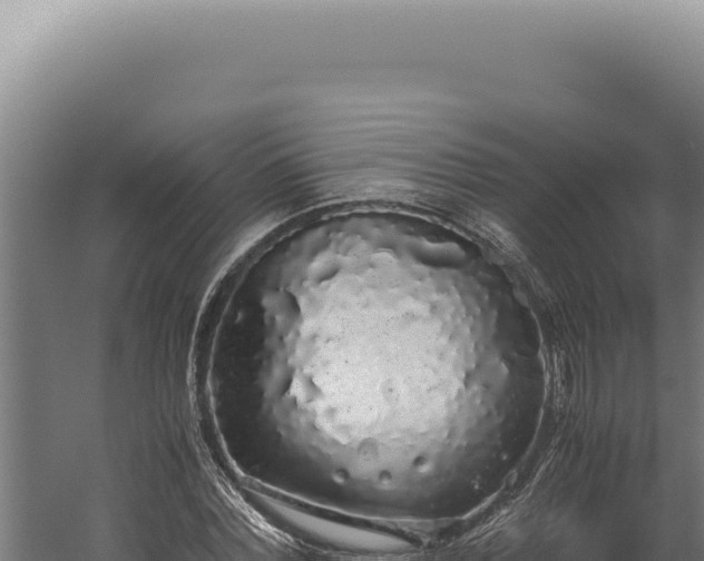 X0000060260780200511041348