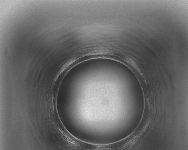 X0000060260781200511041348