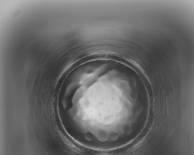 X0000060260783200511041348