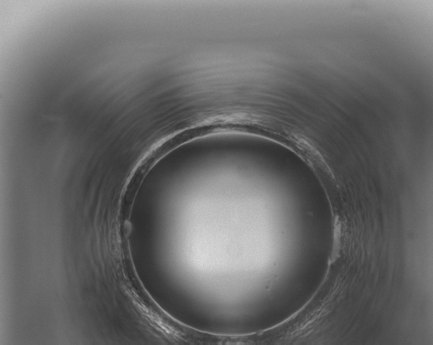 X0000060260784200511041348