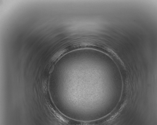 X0000060260785200511041348