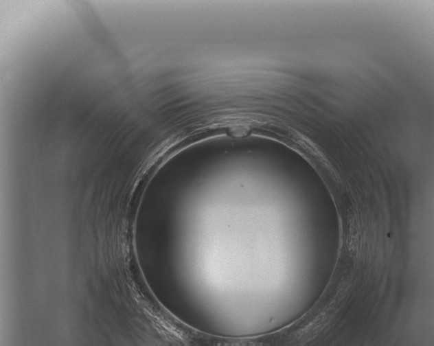 X0000060260786200511041348