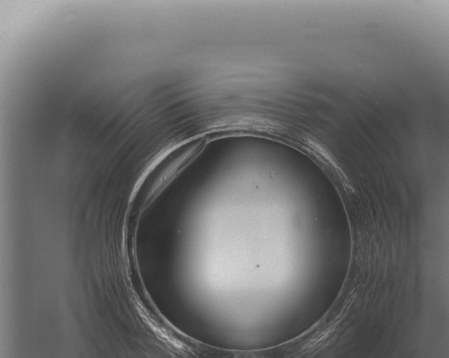 X0000060260788200511041348