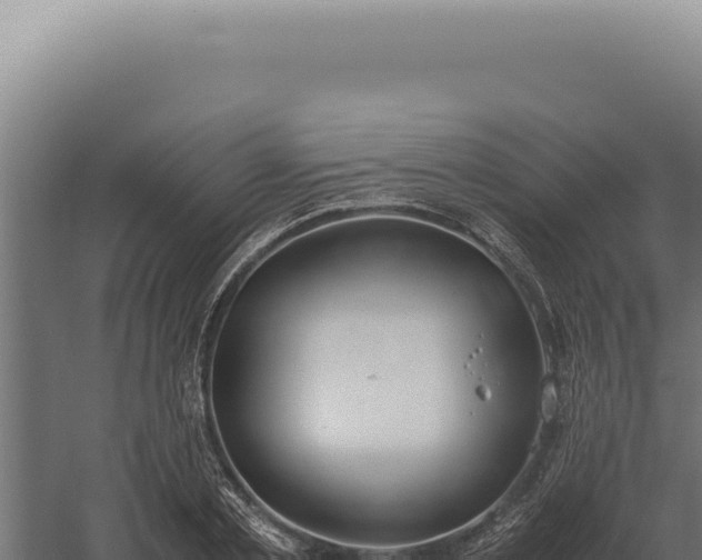 X0000060260789200511041348