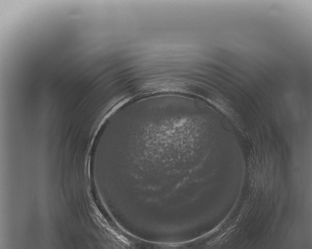 X0000060260790200511041348