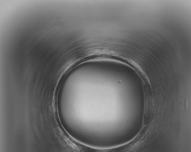 X0000060260791200511041348