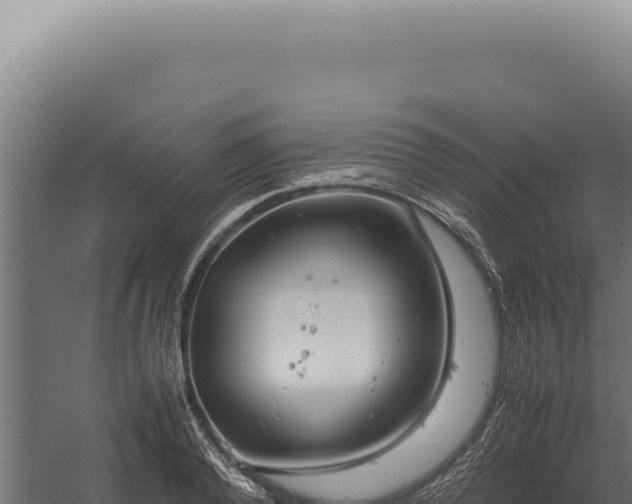 X0000060260792200511041348