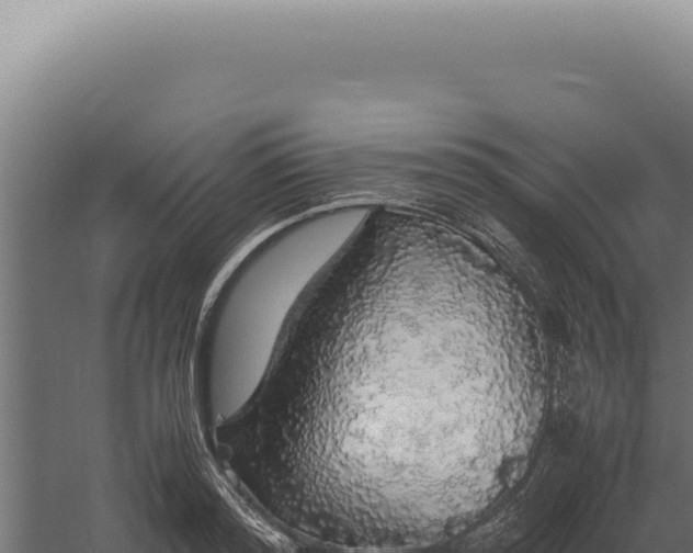 X0000060260796200511041348