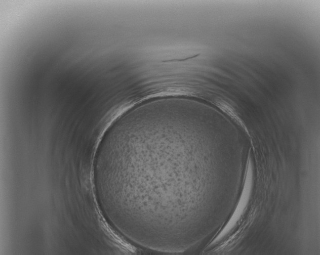 X0000060260797200511041348